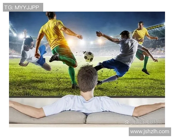 欧洲杯赛事球迷文化传播与互动研究