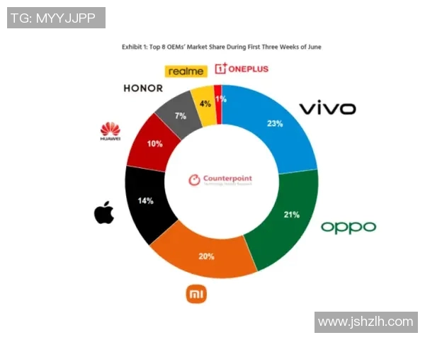体育胜负预测模型更新